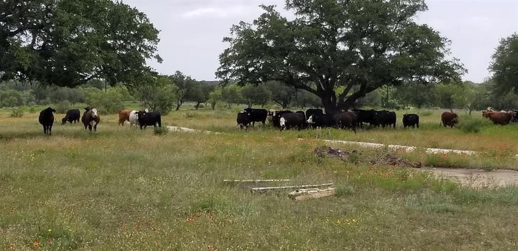 Lot 43 Pecan Valley Dr, Comanche, TX 76452