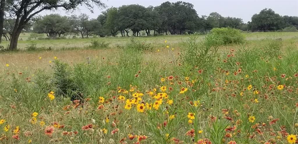 Lot 43 Pecan Valley Dr, Comanche, TX 76452