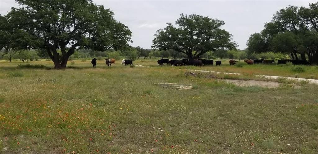 Lot 43 Pecan Valley Dr, Comanche, TX 76452