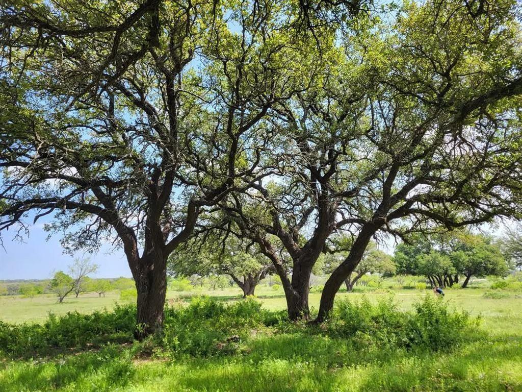 Lot 43 Pecan Valley Dr, Comanche, TX 76452