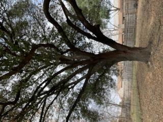 7402 Southgate Ln # B, Austin, TX 78744