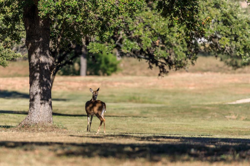 312 Interlaken St, Fredericksburg, TX 78624