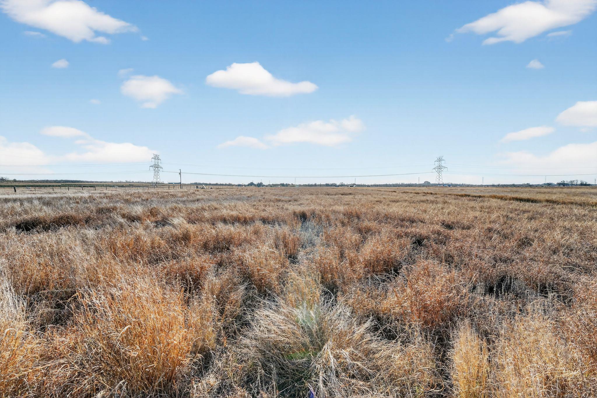 1557 Scull Rd # Tract X, San Marcos, TX 78666