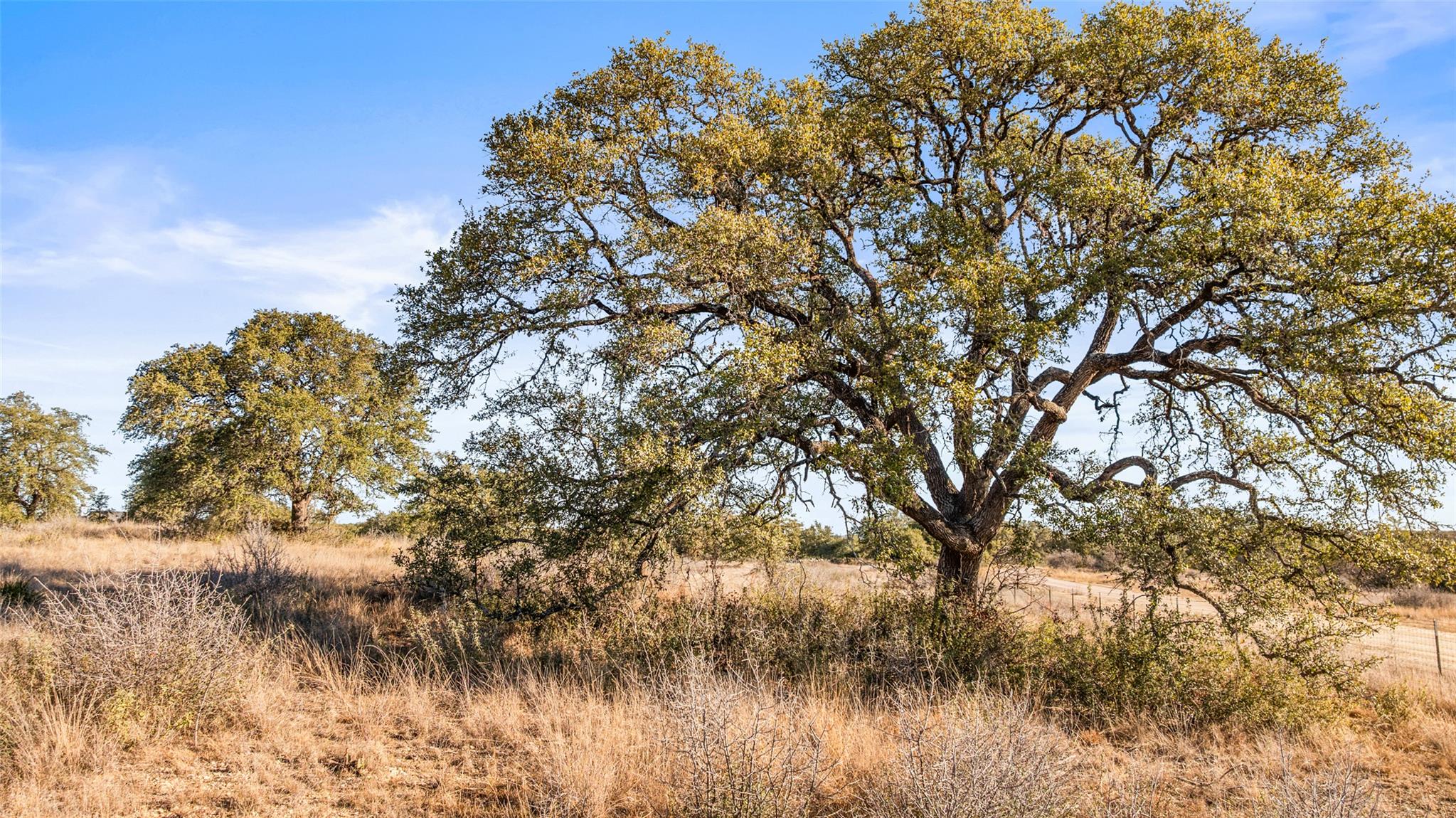 1422-17 RM 2766, Johnson City, TX 78636