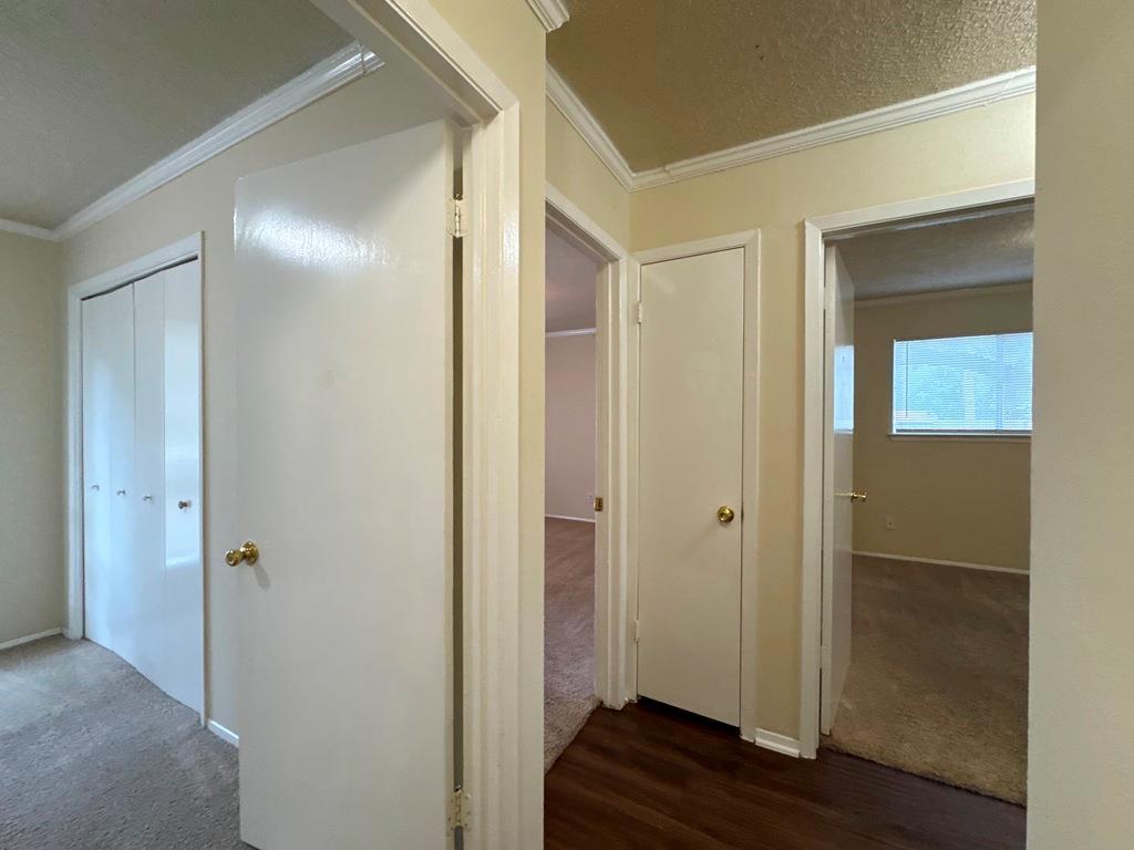 5905 Burrough Dr, Austin, TX 78745