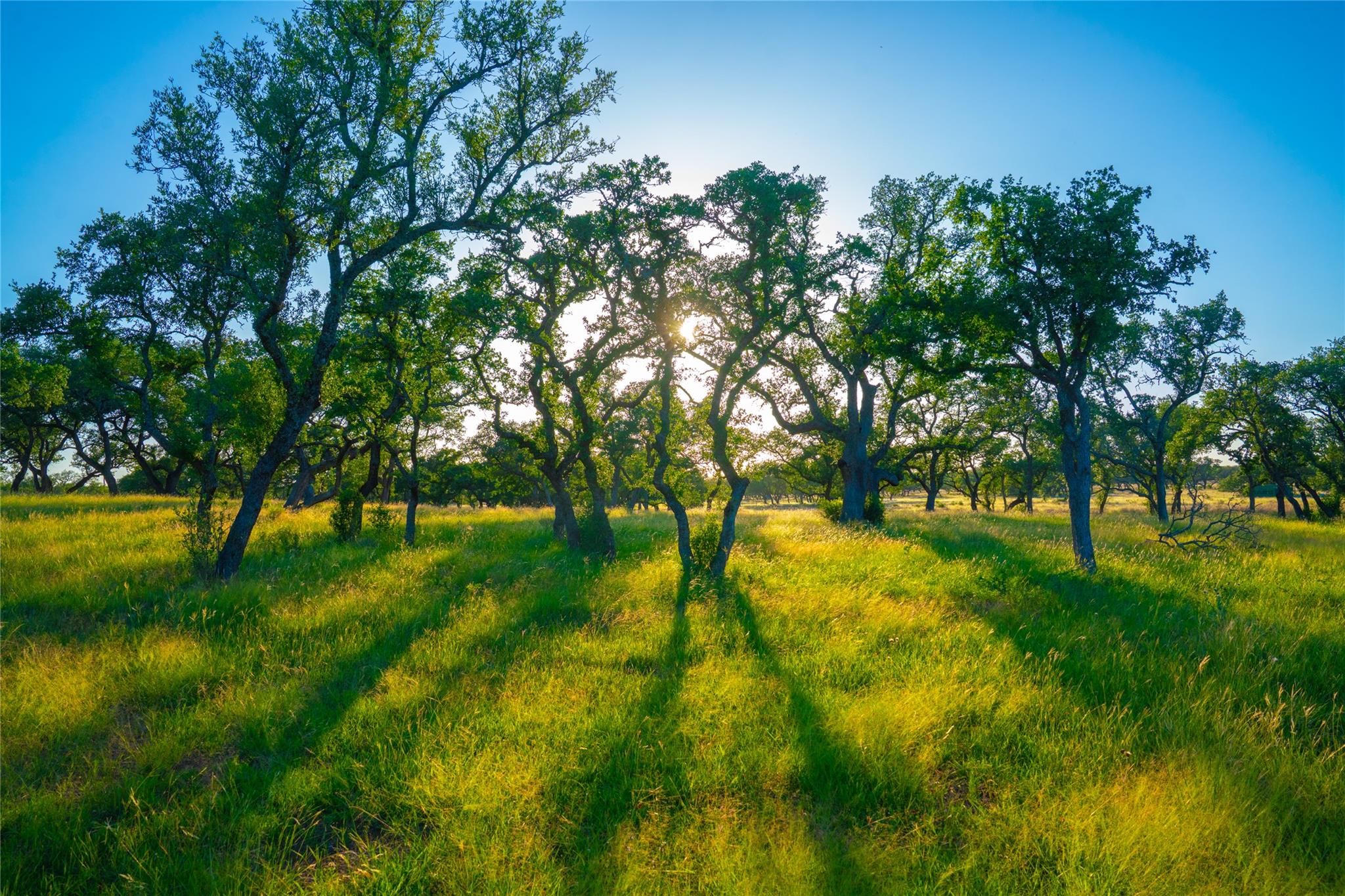 0 Bountiful Oaks Ranch, Johnson City, TX 78636