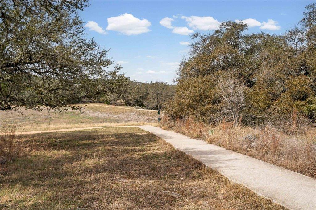 22000 Moffat Dr, Spicewood, TX 78669