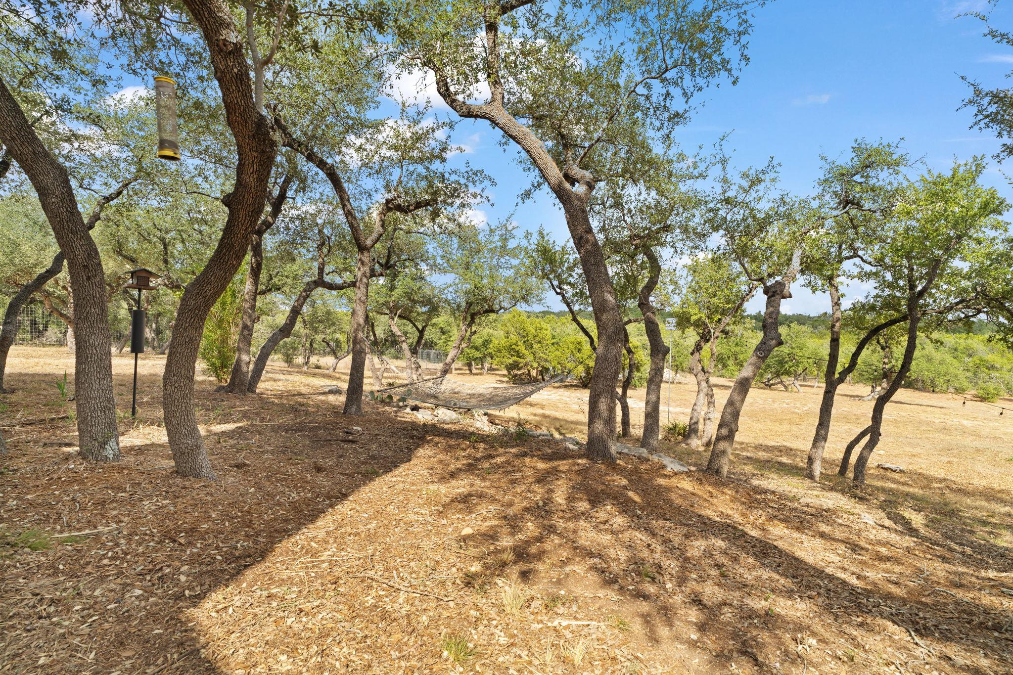 11600 Crumley Ranch Rd, Dripping Springs, TX 78620