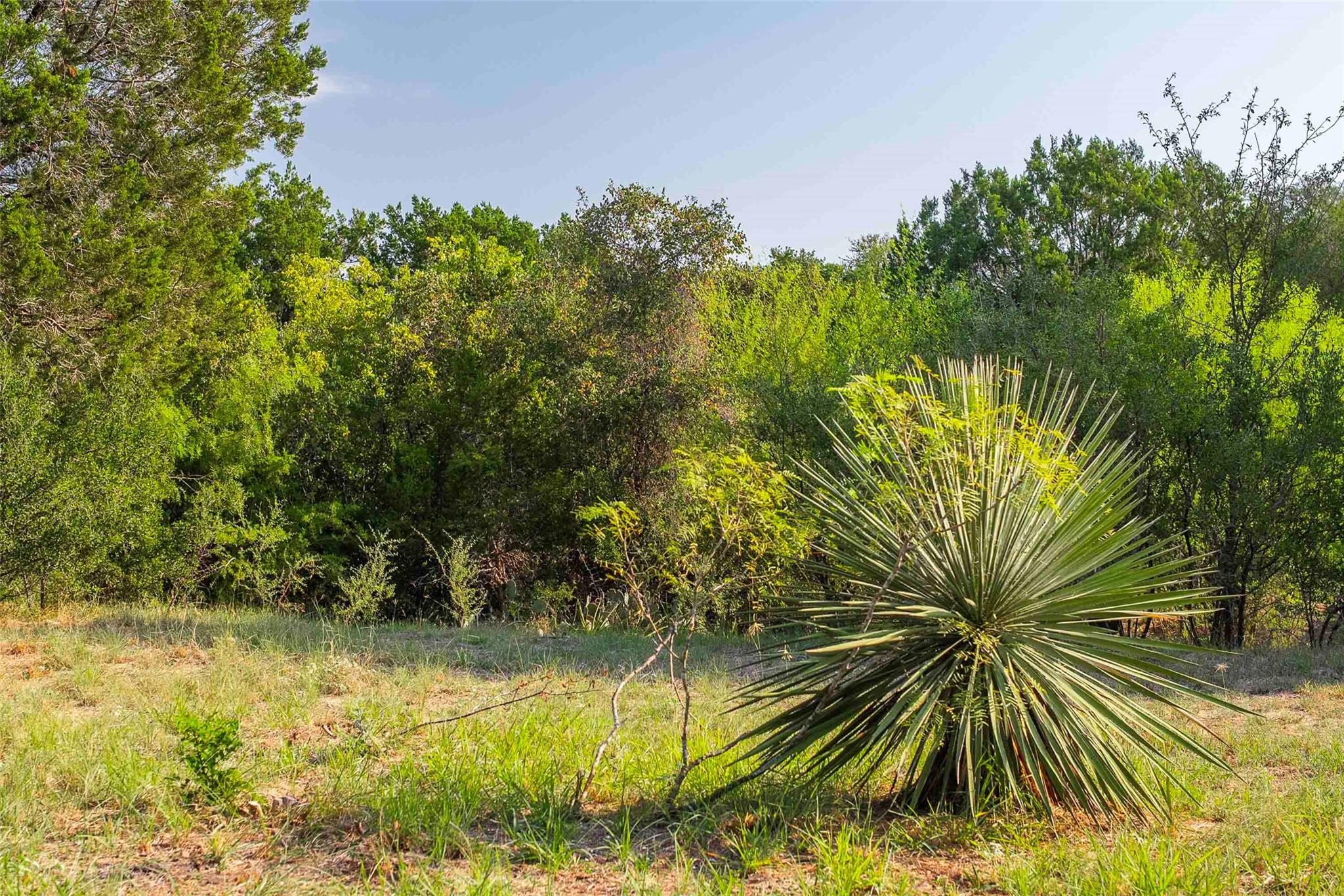 Lot 64 Wesley Ridge Dr, Spicewood, TX 78669