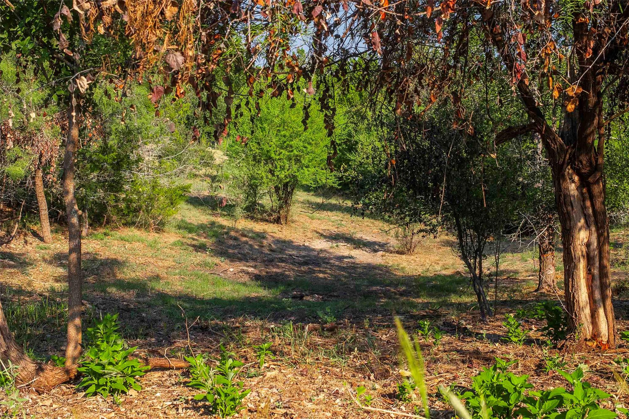 Lot 64 Wesley Ridge Dr, Spicewood, TX 78669