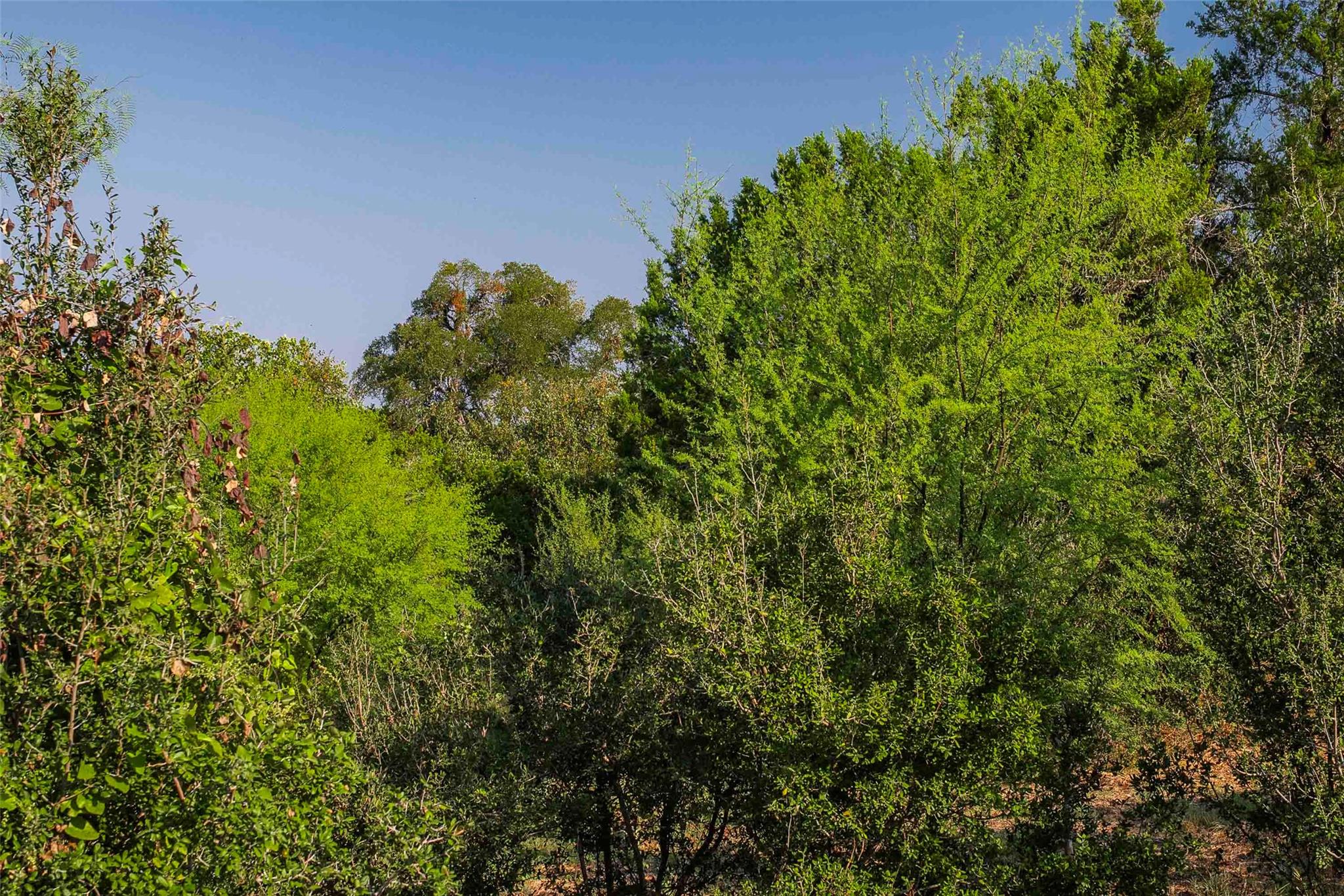 Lot 64 Wesley Ridge Dr, Spicewood, TX 78669