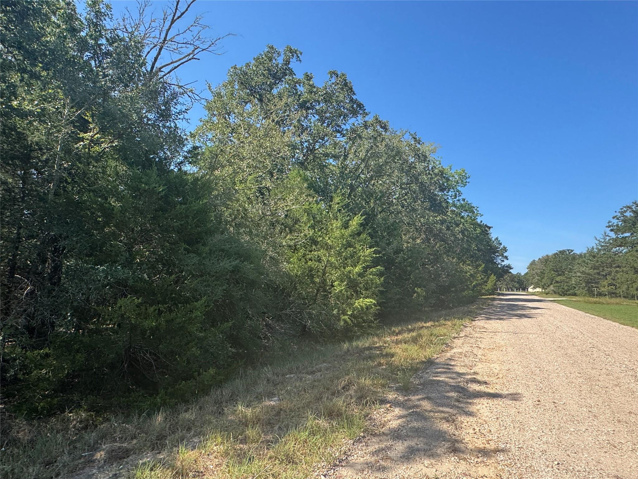 Tract 2 Berry Rdg S, Caldwell, TX 77836