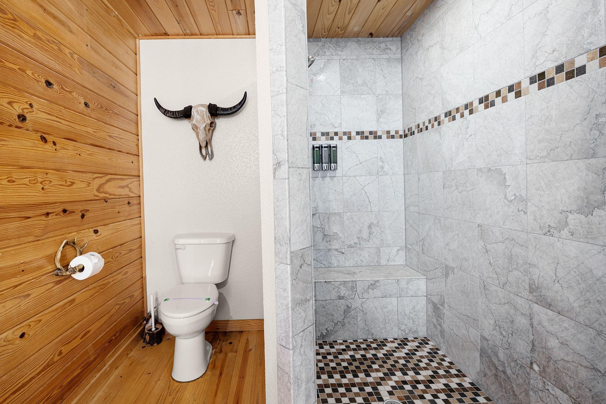 1012 Mourning Dove, Canyon Lake, TX 78133