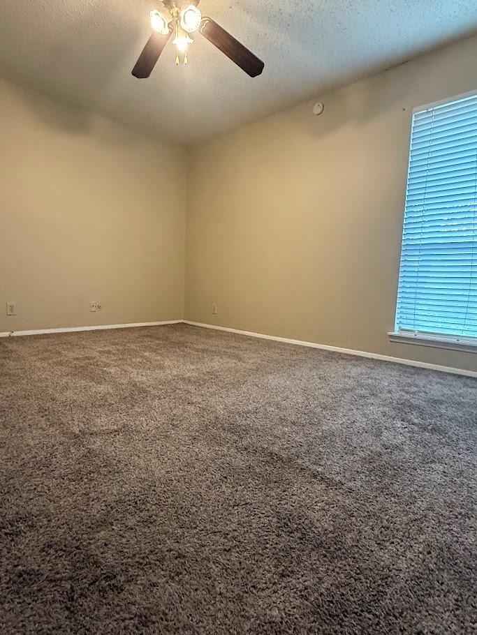 202 E 45th St # 306, Austin, TX 78751