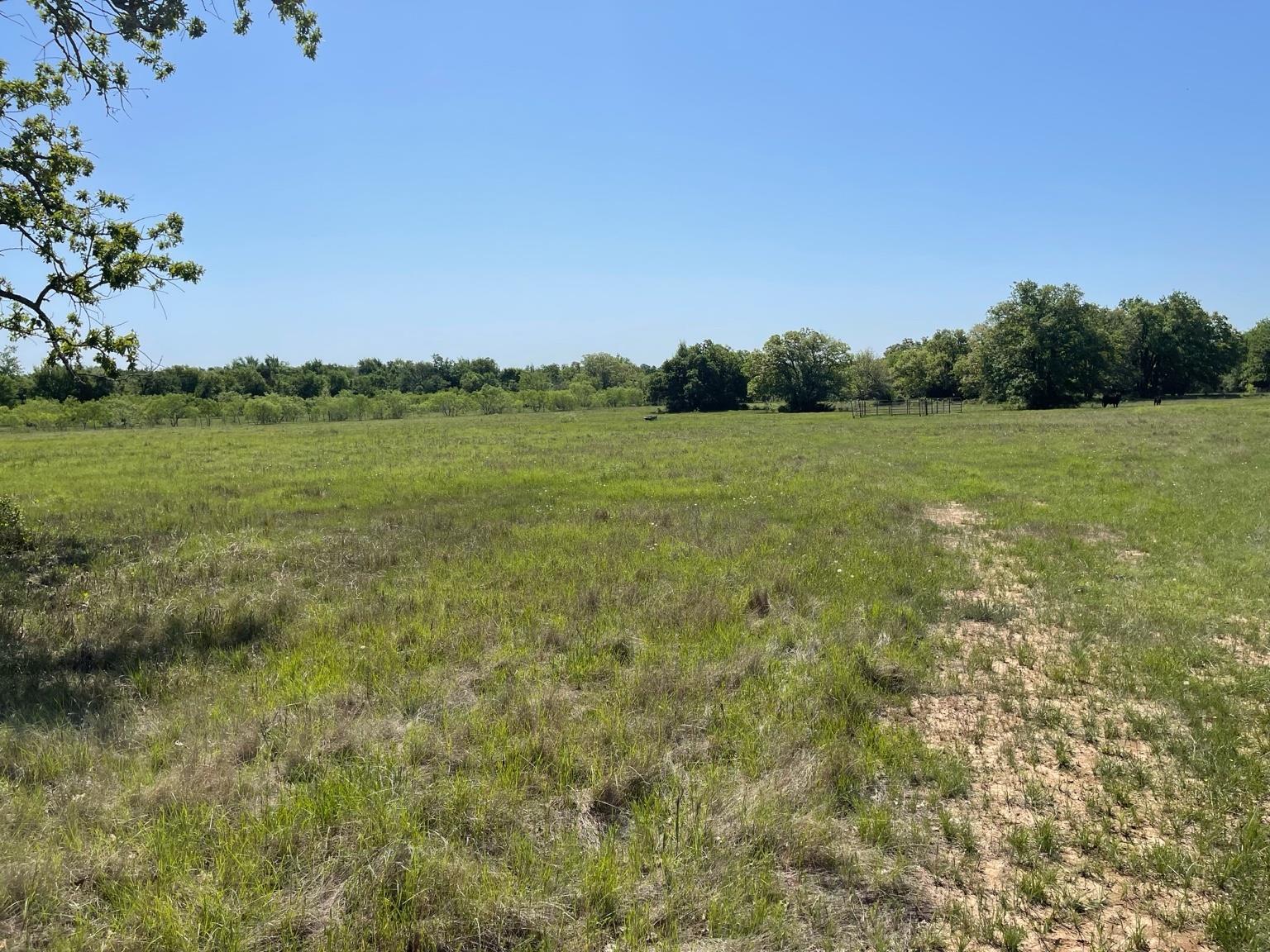 TBD County Road 322 Rd, Rockdale, TX 76567