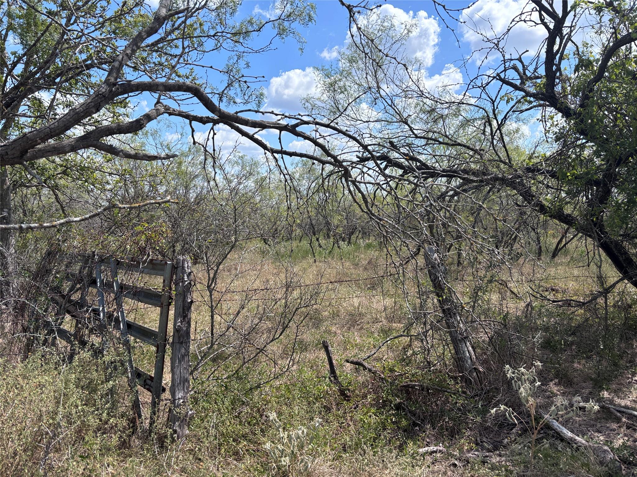 TBD 10.04 AC County Road 413, Thorndale, TX 76577