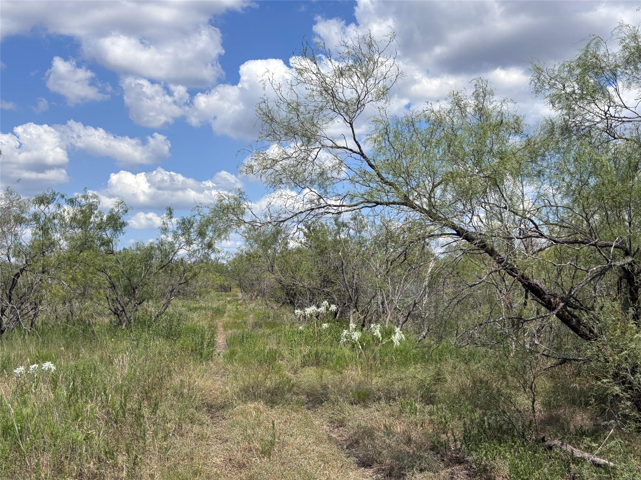 TBD 10.04 AC County Road 413, Thorndale, TX 76577