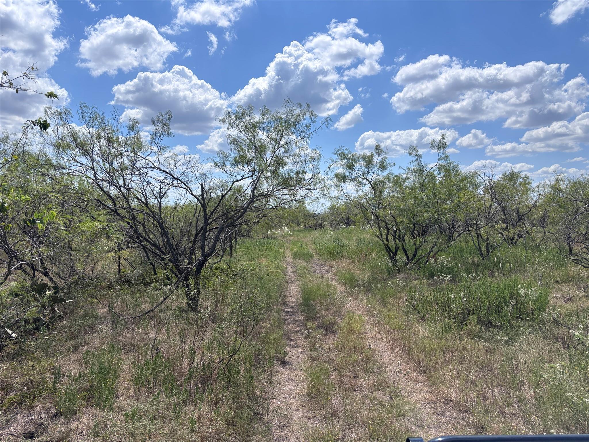 TBD 10.04 AC County Road 413, Thorndale, TX 76577