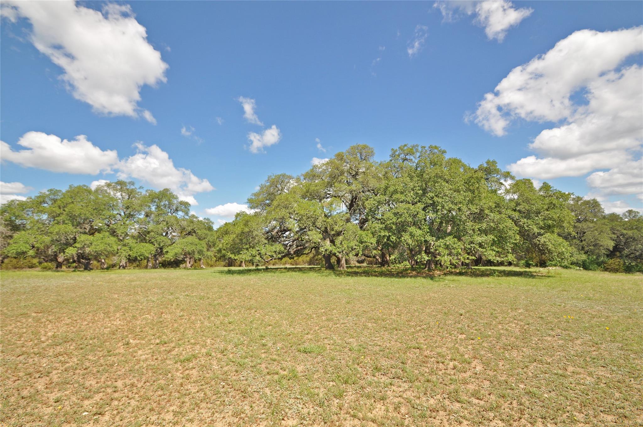 000 County Road 287 (Lot 1), Liberty Hill, TX 78642