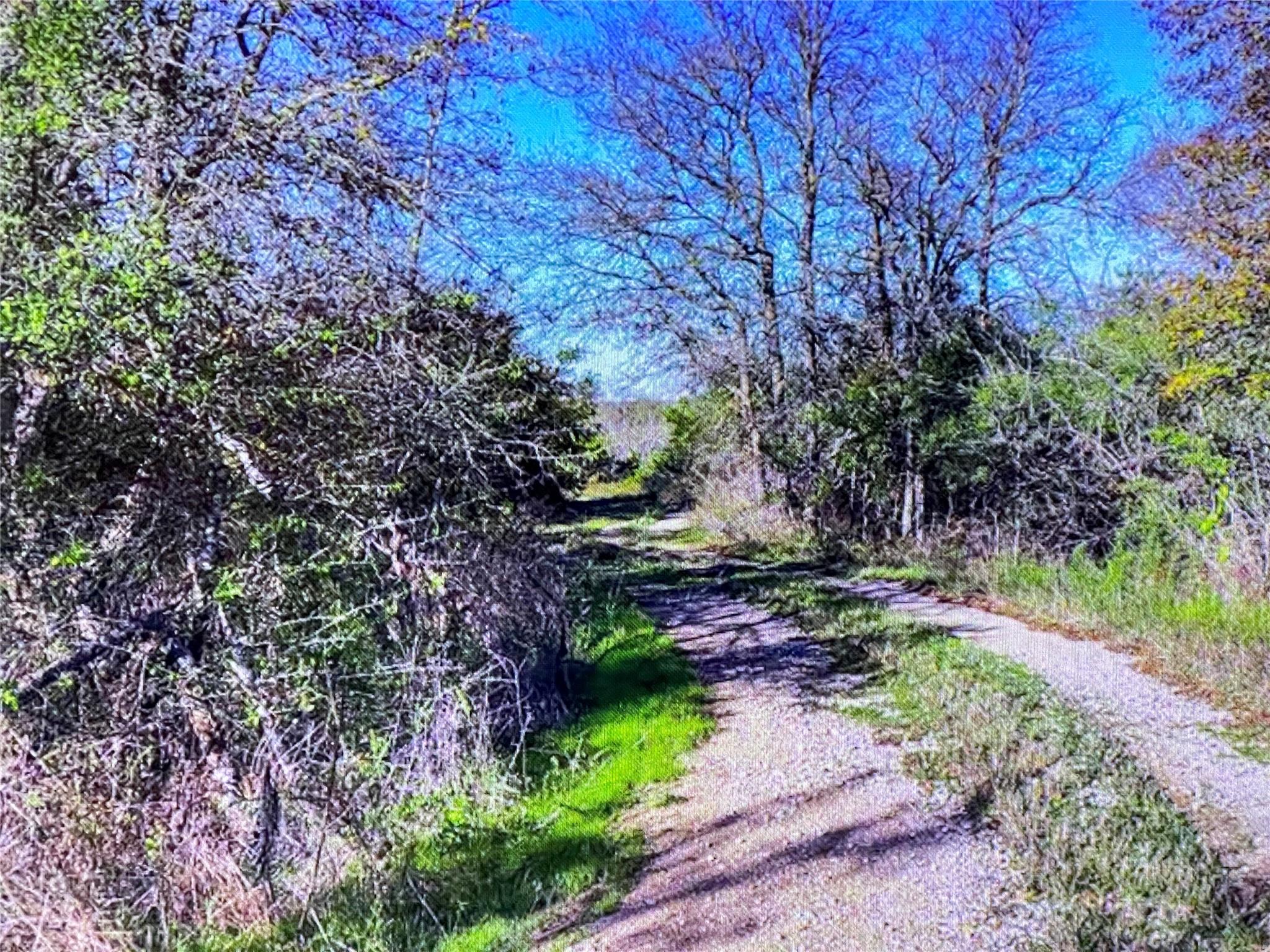 6164 S Fm 535 Rd, Cedar Creek, TX 78612