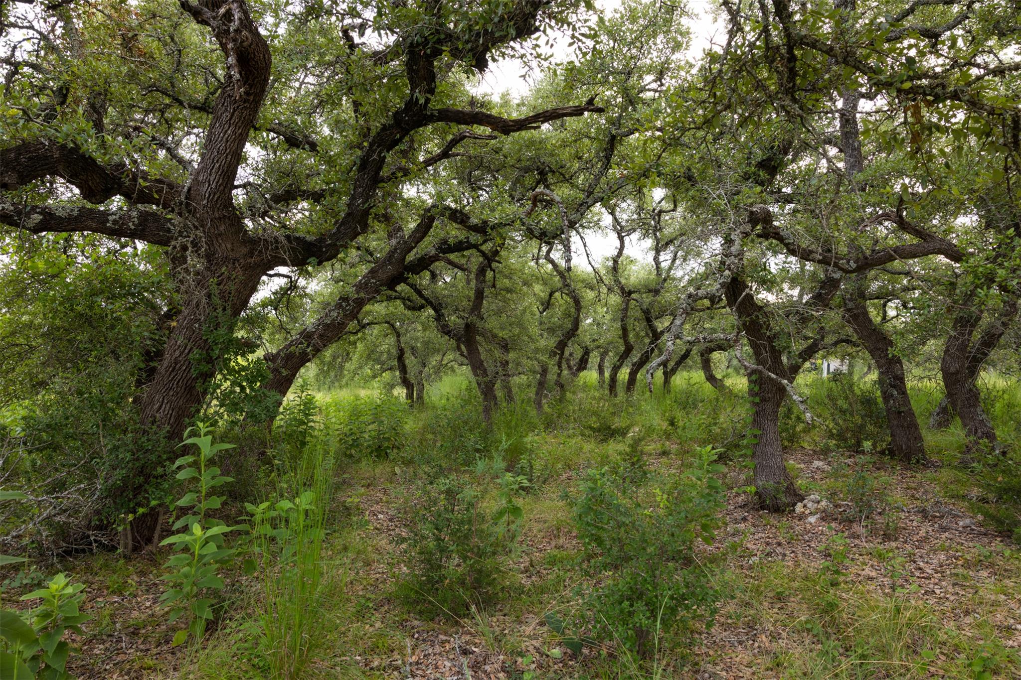 3149 Byrd Ranch Rd, Johnson City, TX 78636