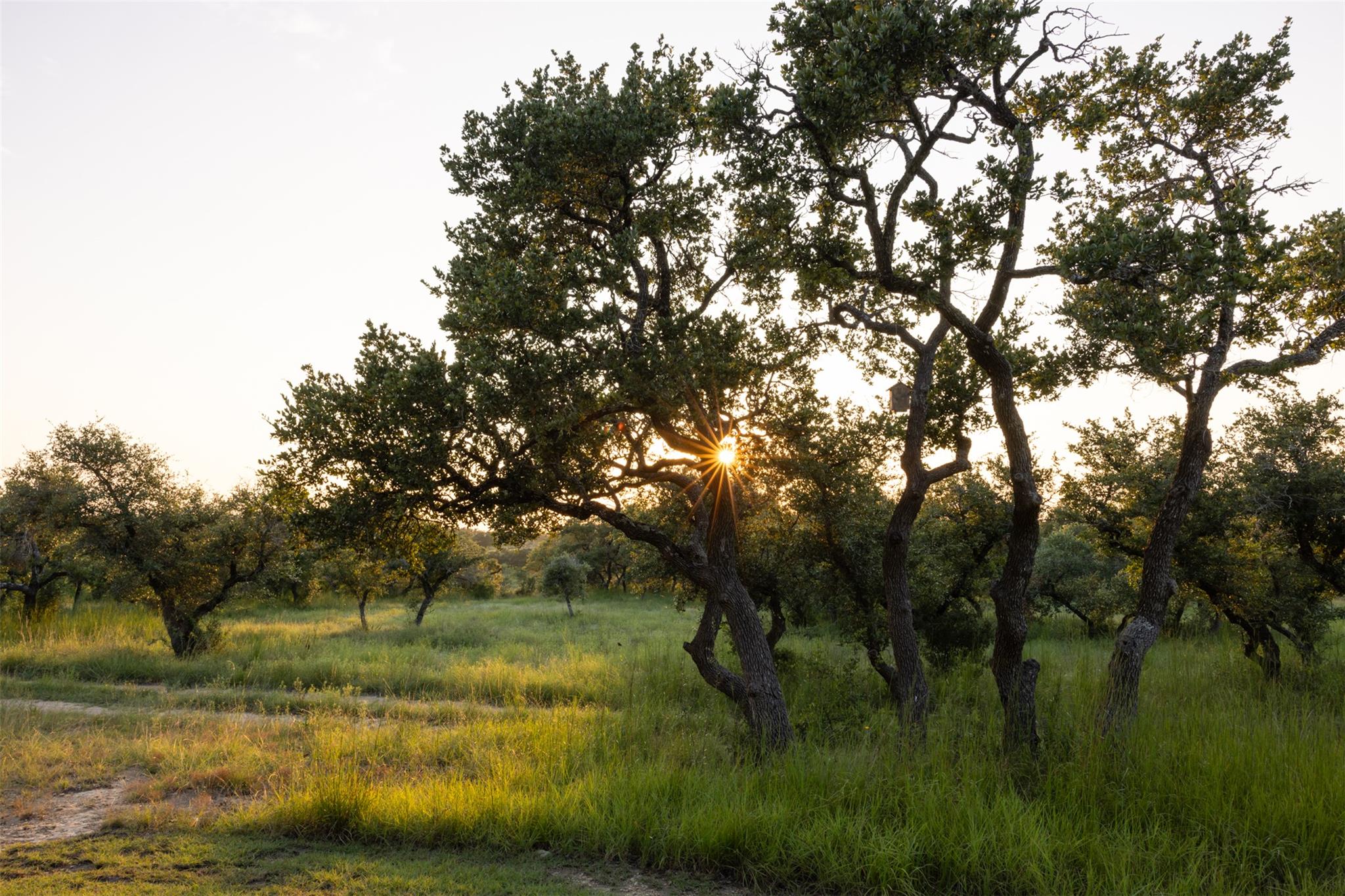 3149 Byrd Ranch Rd, Johnson City, TX 78636