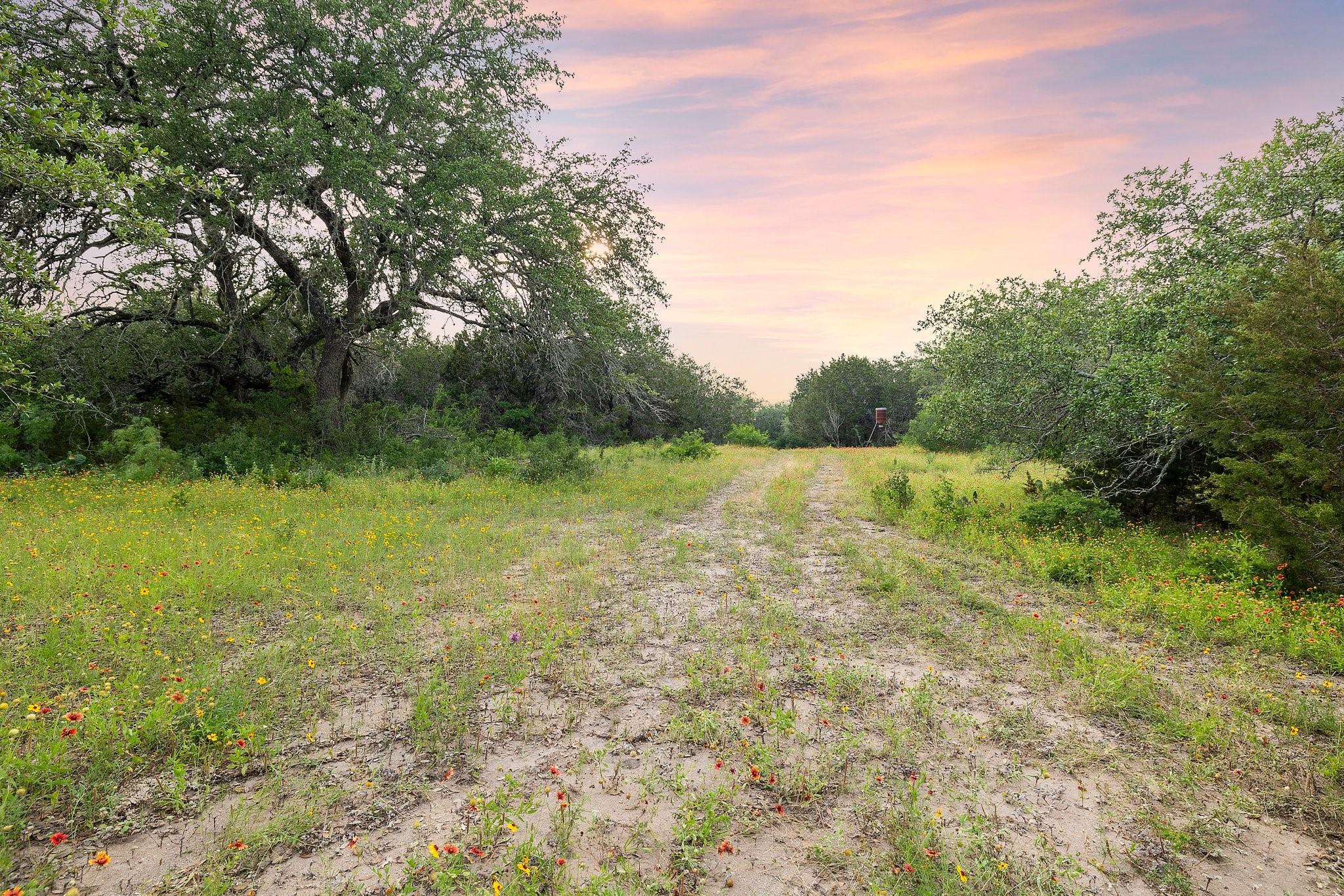 2308 County Road 414, Spicewood, TX 78669