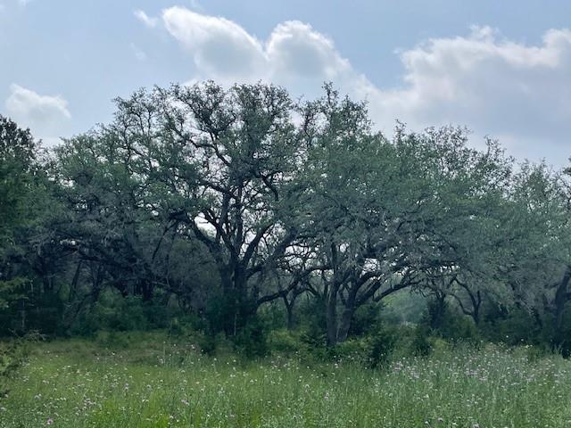 2308 County Road 414, Spicewood, TX 78669