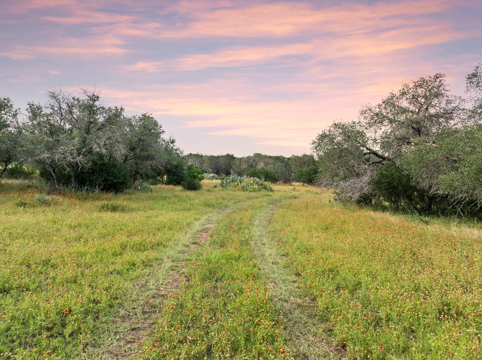2308 County Road 414, Spicewood, TX 78669