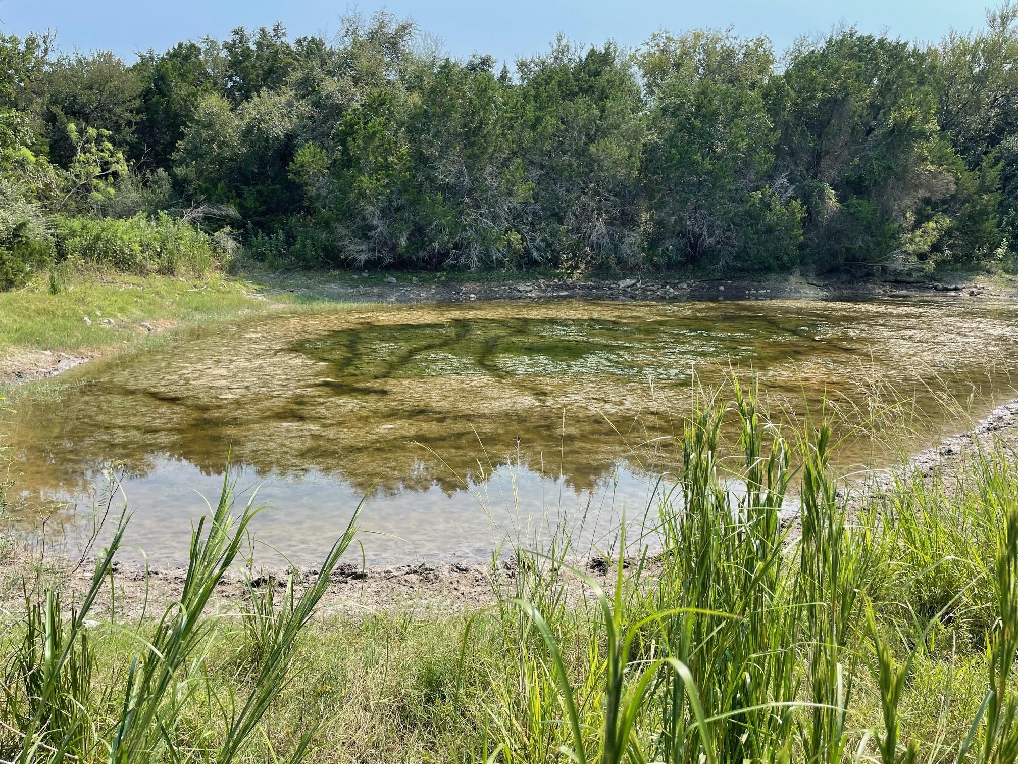 2308 County Road 414, Spicewood, TX 78669