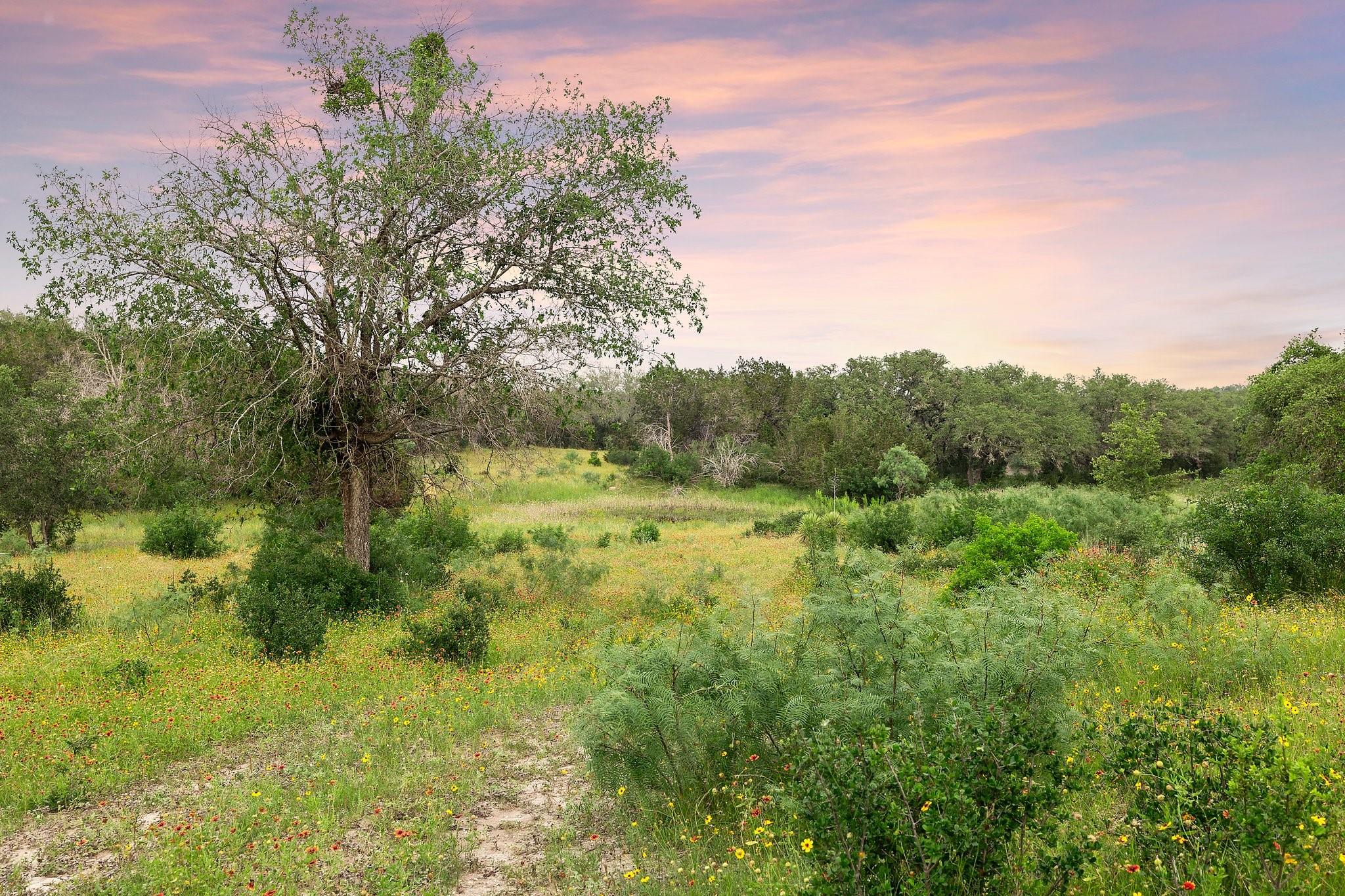 2308 County Road 414, Spicewood, TX 78669