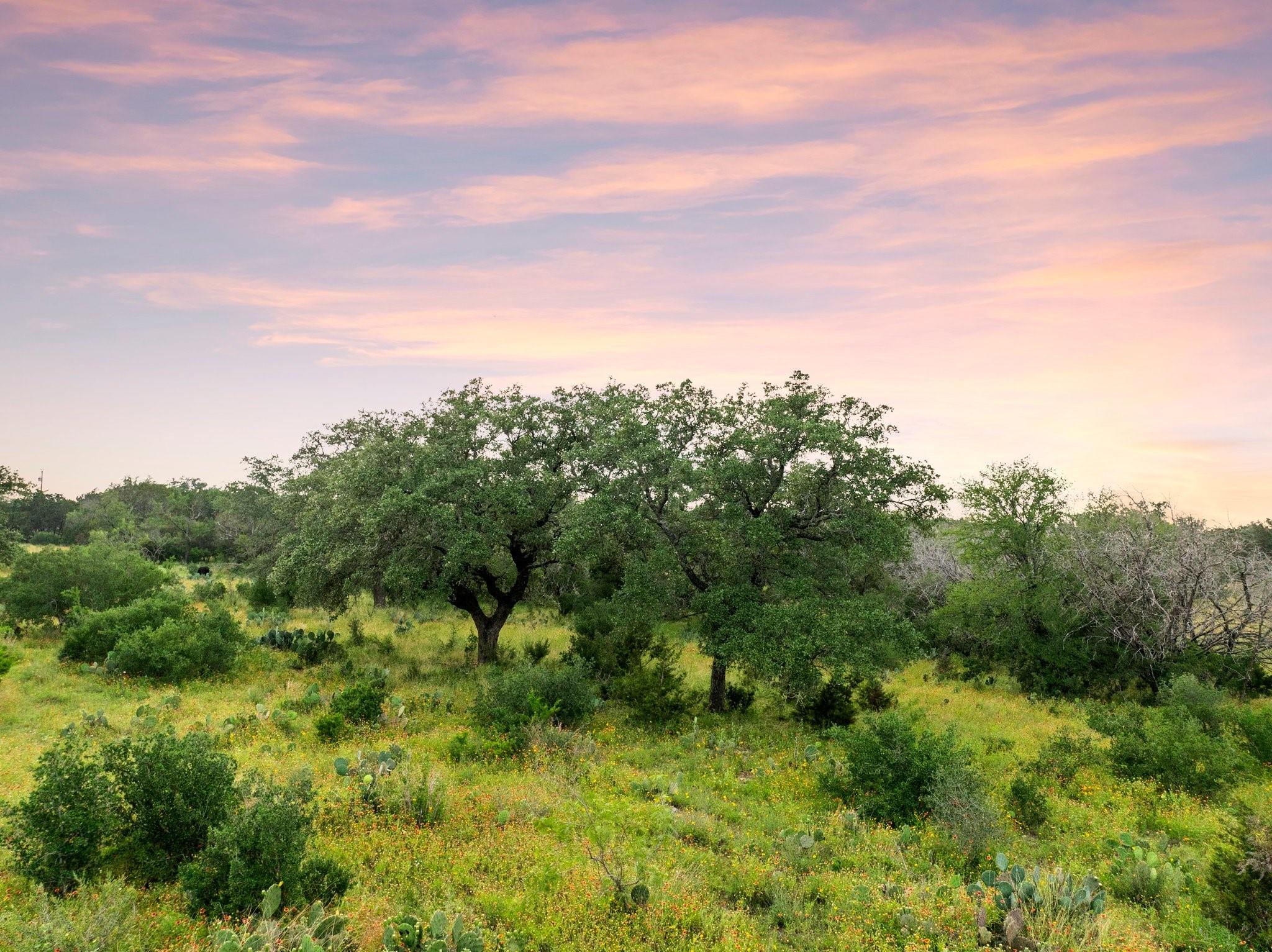 2308 County Road 414, Spicewood, TX 78669