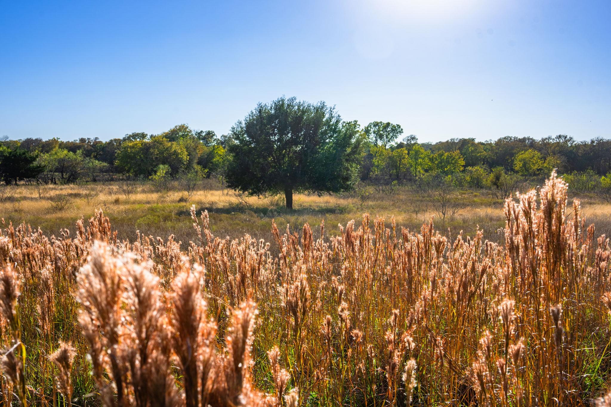 345 Fm 933, Aquilla, TX 76622