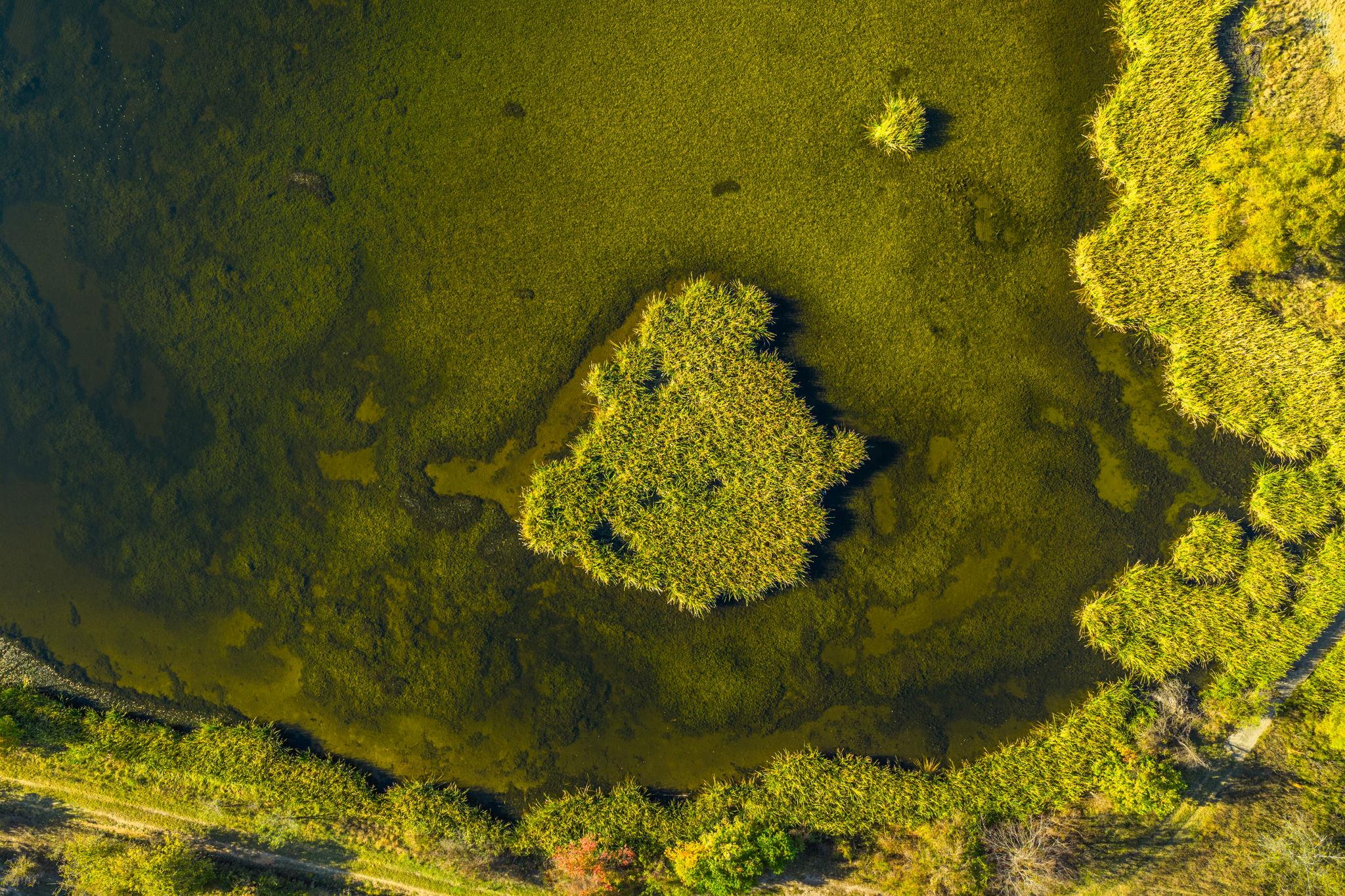 345 Fm 933, Aquilla, TX 76622