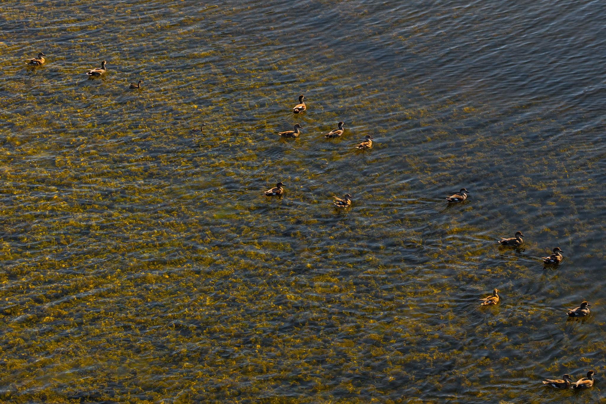 345 Fm 933, Aquilla, TX 76622