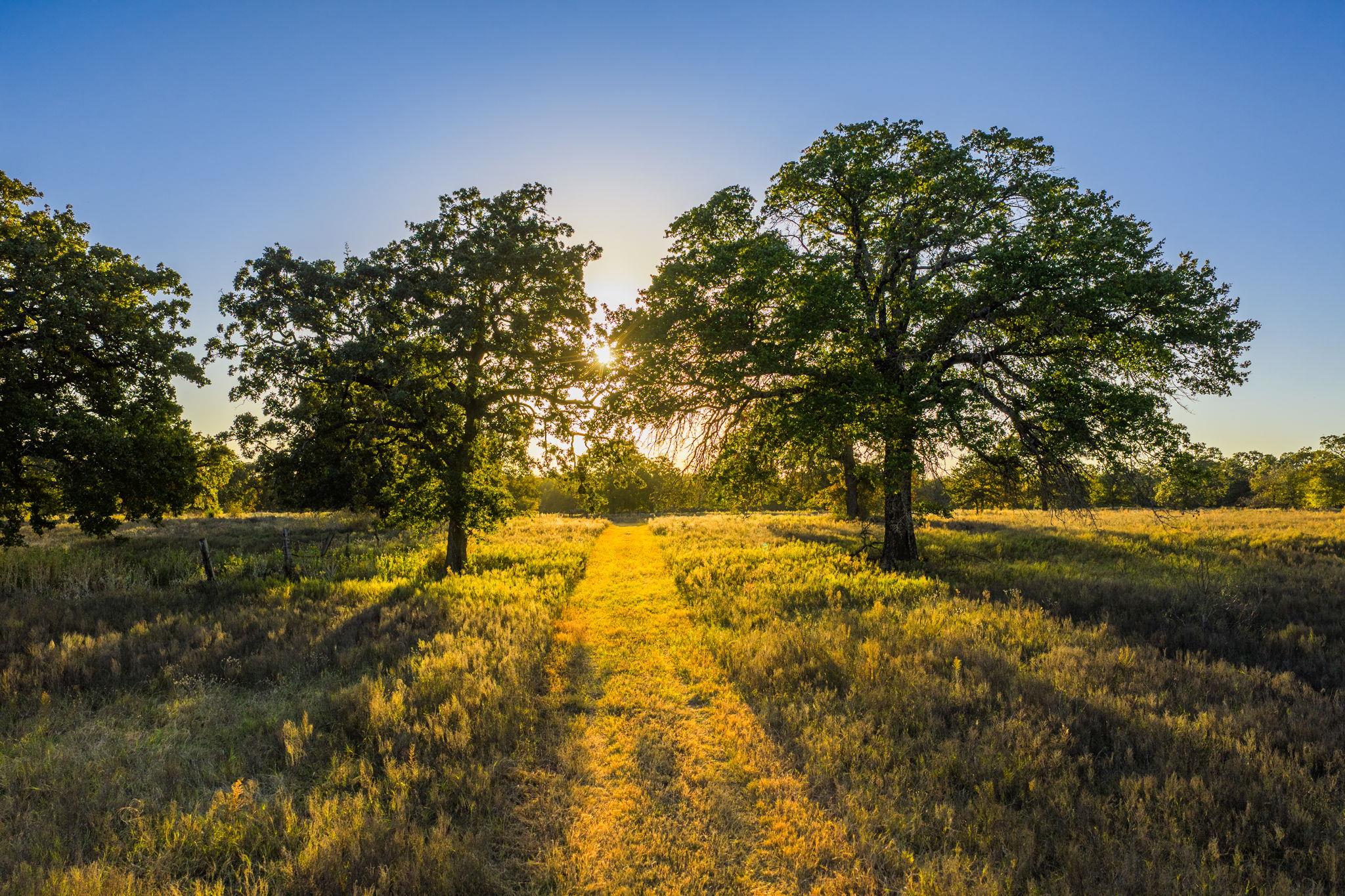 345 Fm 933, Aquilla, TX 76622