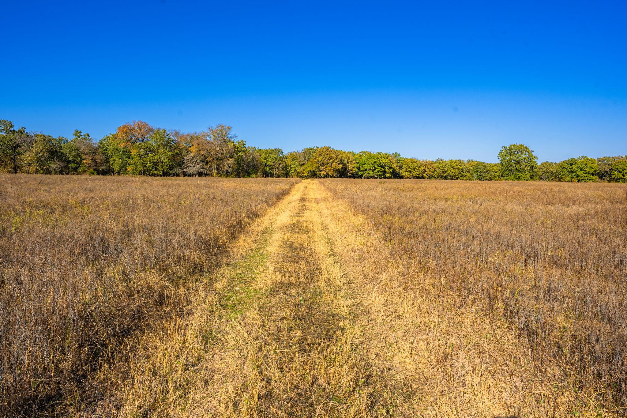 345 Fm 933, Aquilla, TX 76622