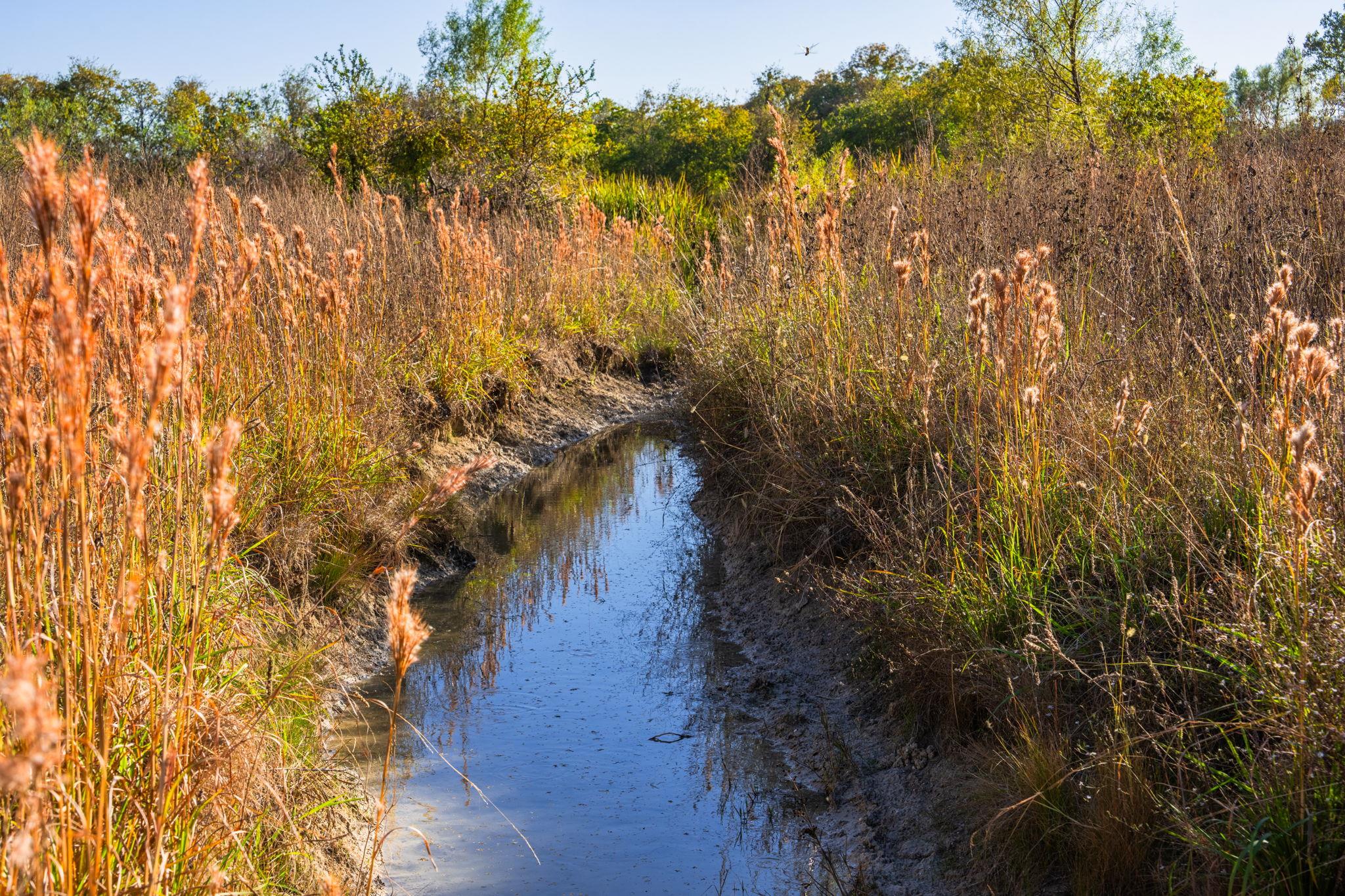 345 Fm 933, Aquilla, TX 76622