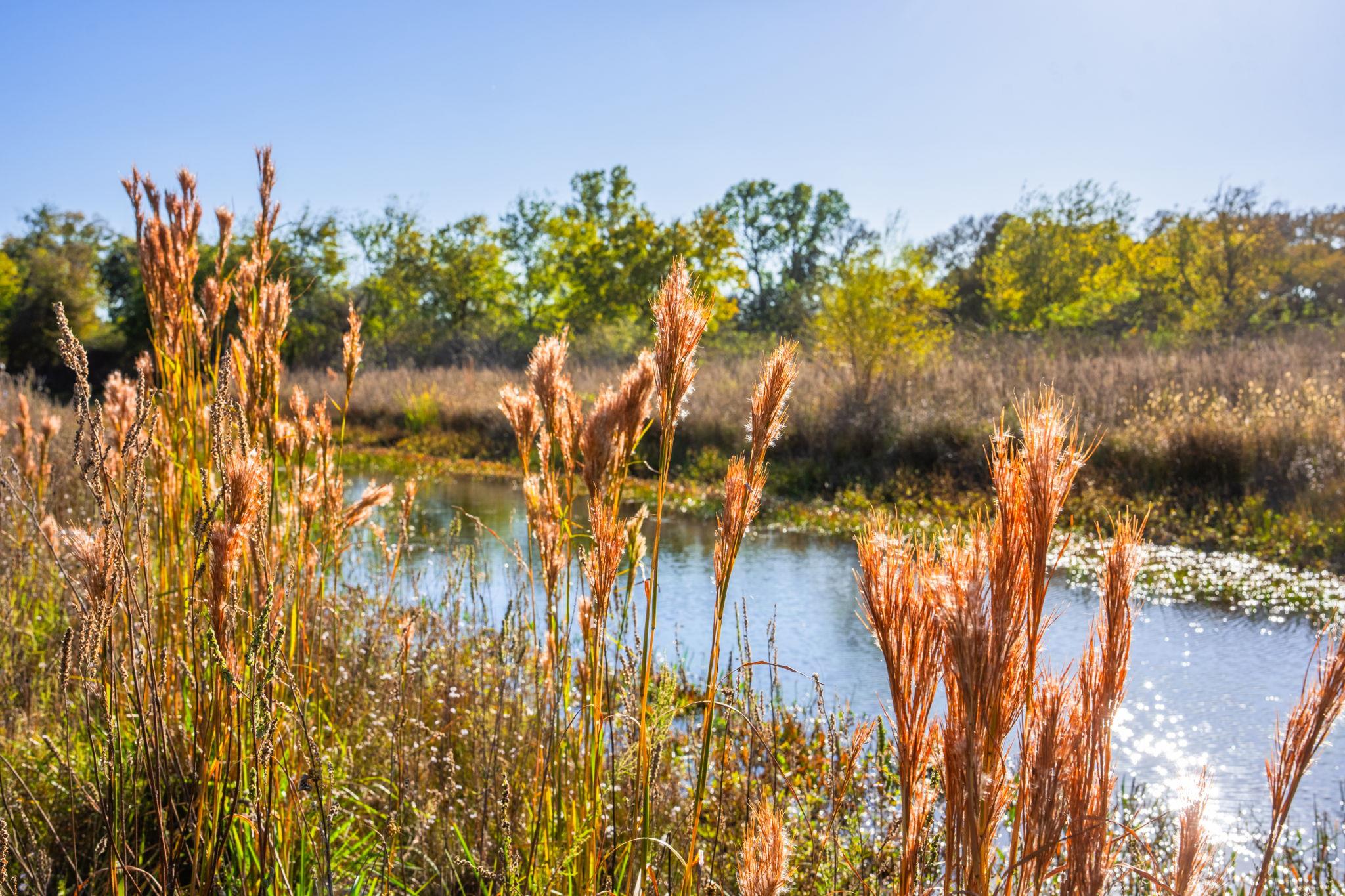 345 Fm 933, Aquilla, TX 76622