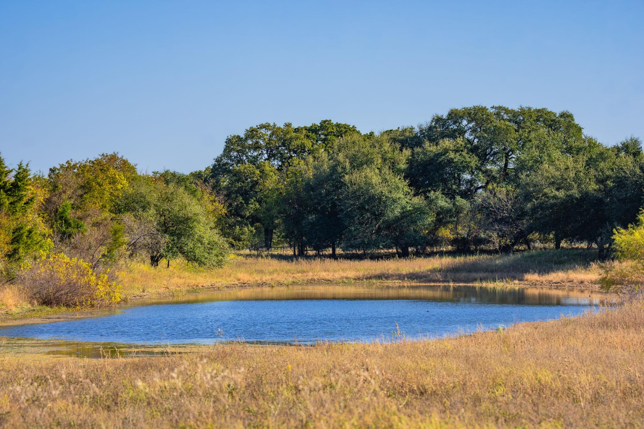 345 Fm 933, Aquilla, TX 76622