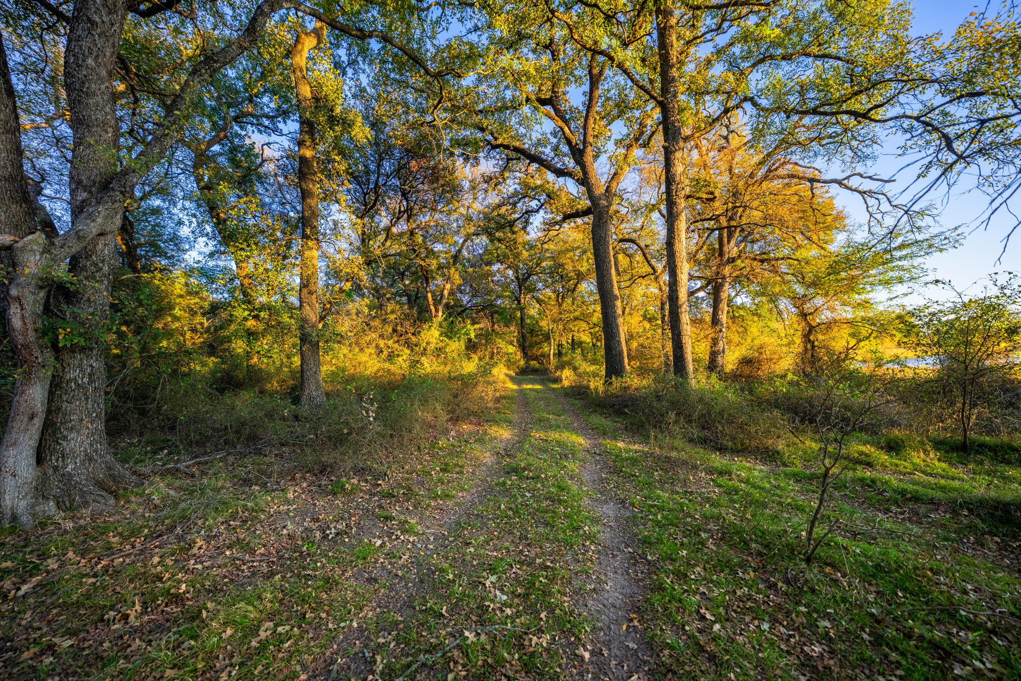 345 Fm 933, Aquilla, TX 76622