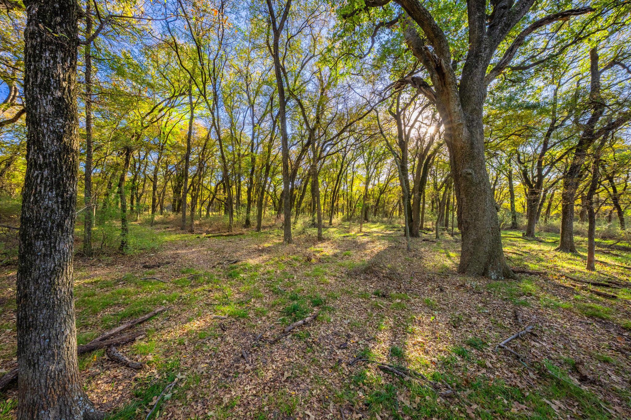 345 Fm 933, Aquilla, TX 76622