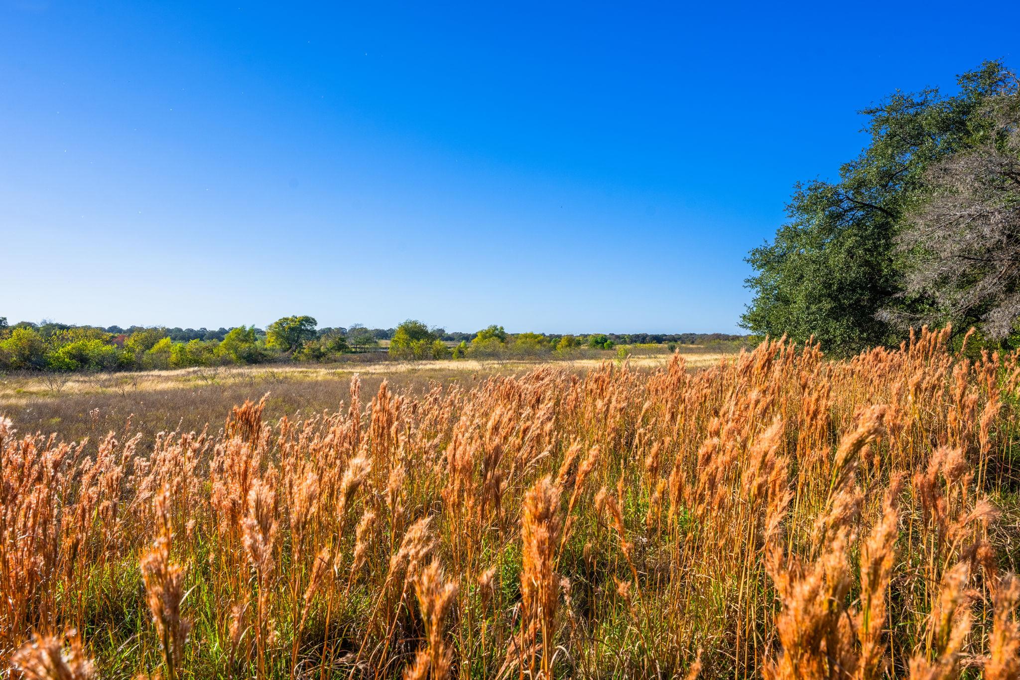 345 Fm 933, Aquilla, TX 76622