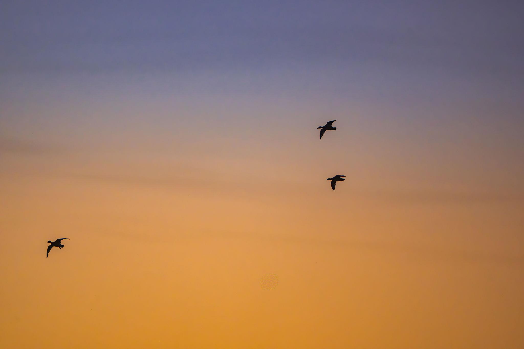 345 Fm 933, Aquilla, TX 76622