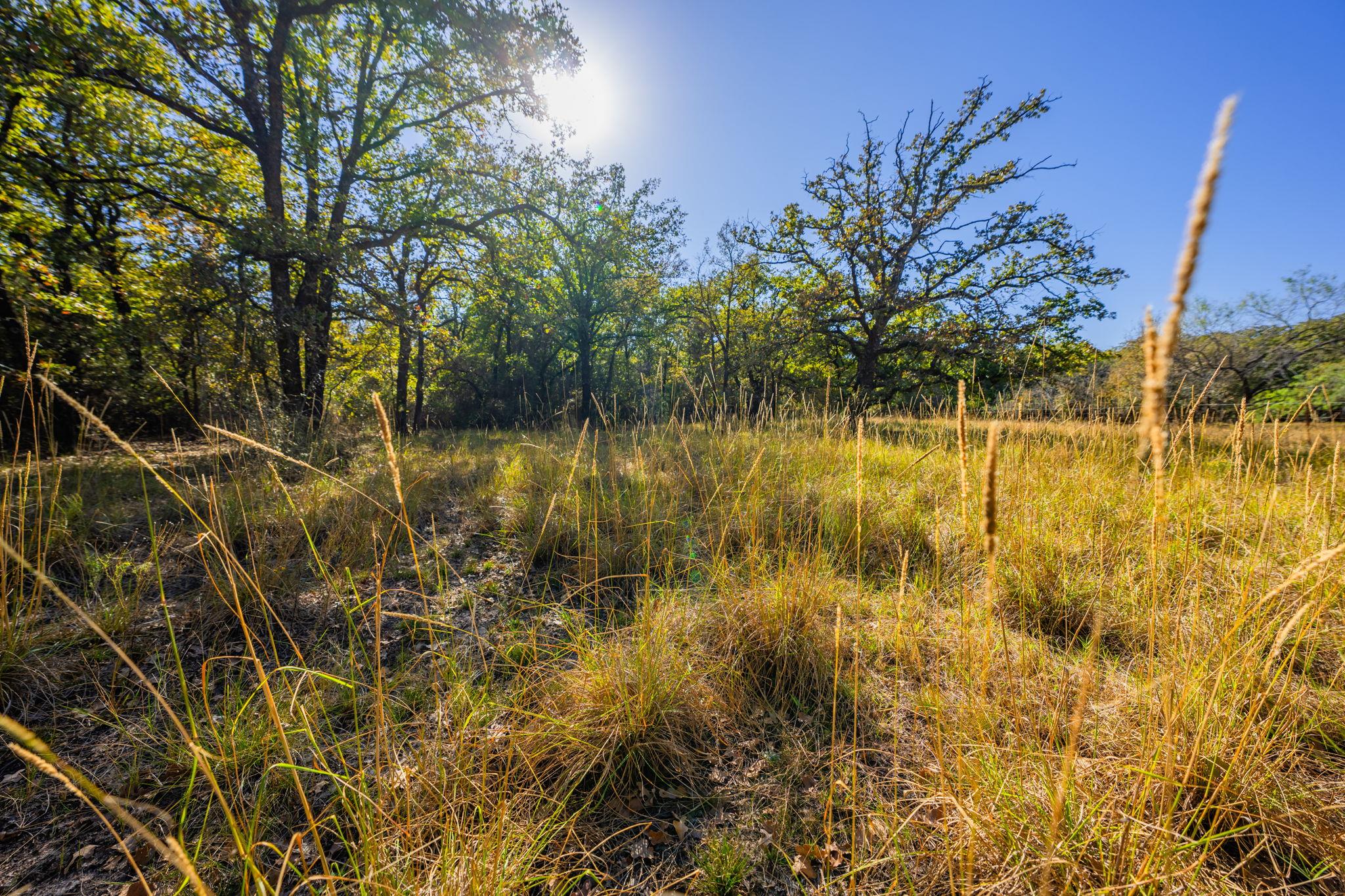 345 Fm 933, Aquilla, TX 76622