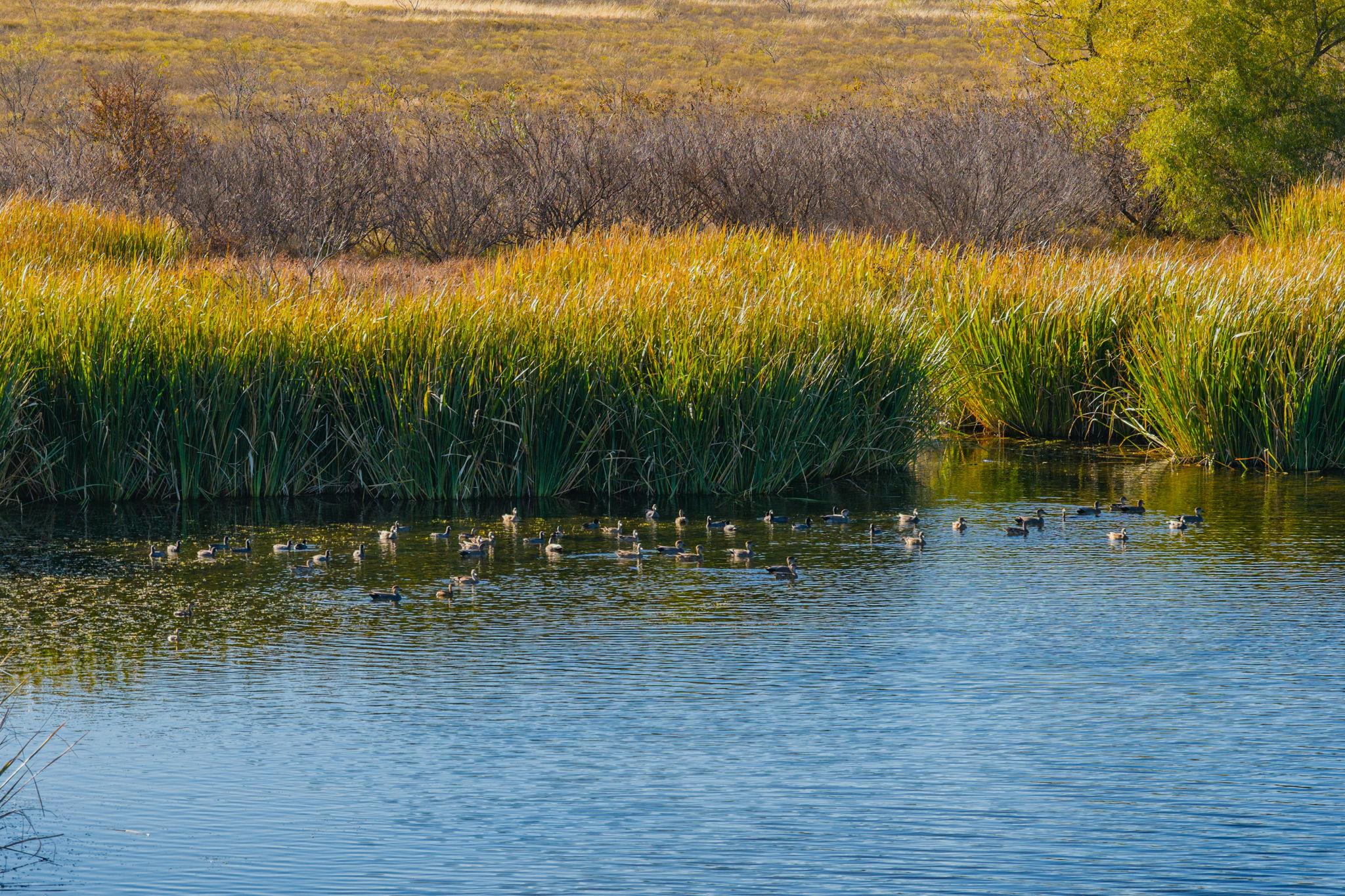 345 Fm 933, Aquilla, TX 76622