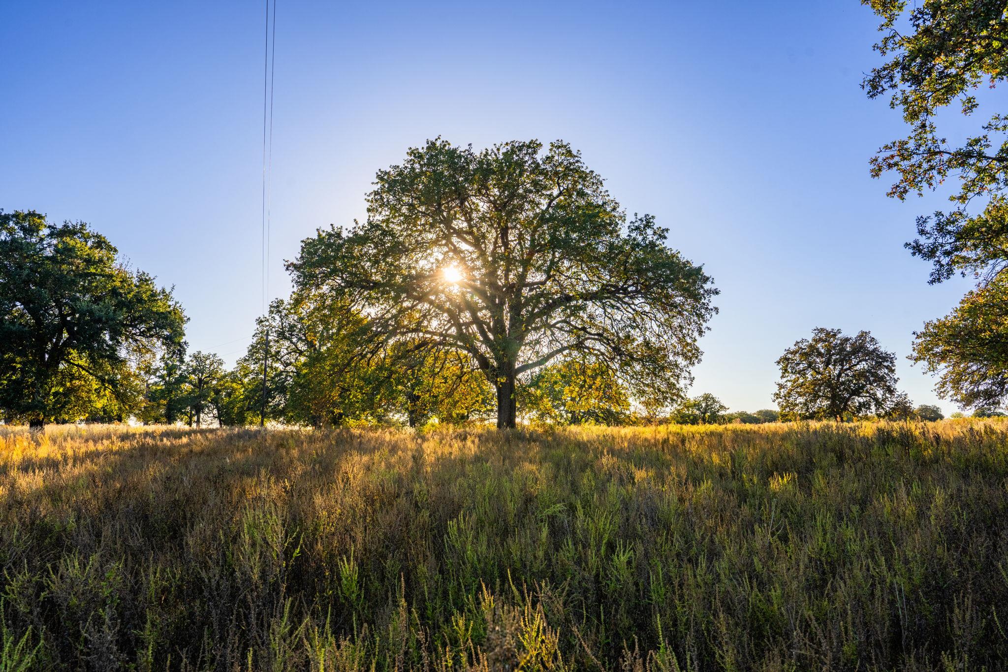 345 Fm 933, Aquilla, TX 76622