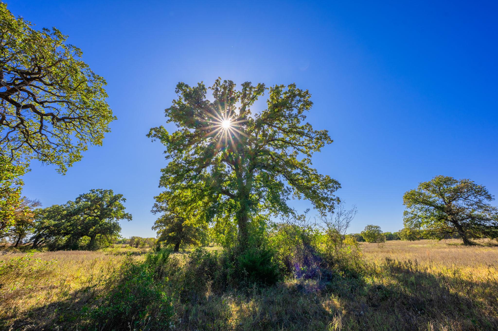 345 Fm 933, Aquilla, TX 76622