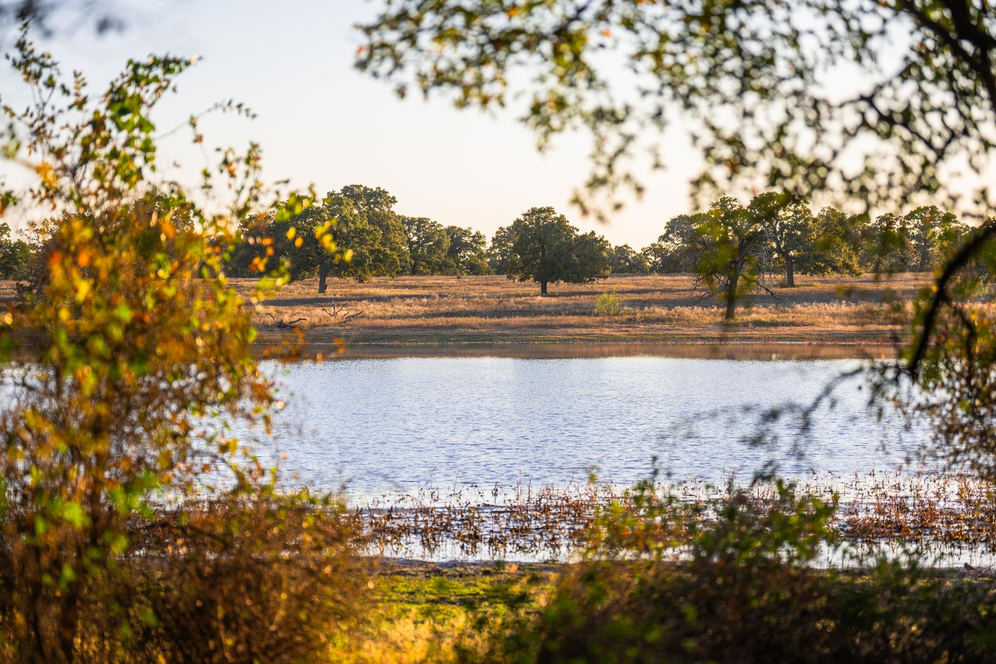 345 Fm 933, Aquilla, TX 76622