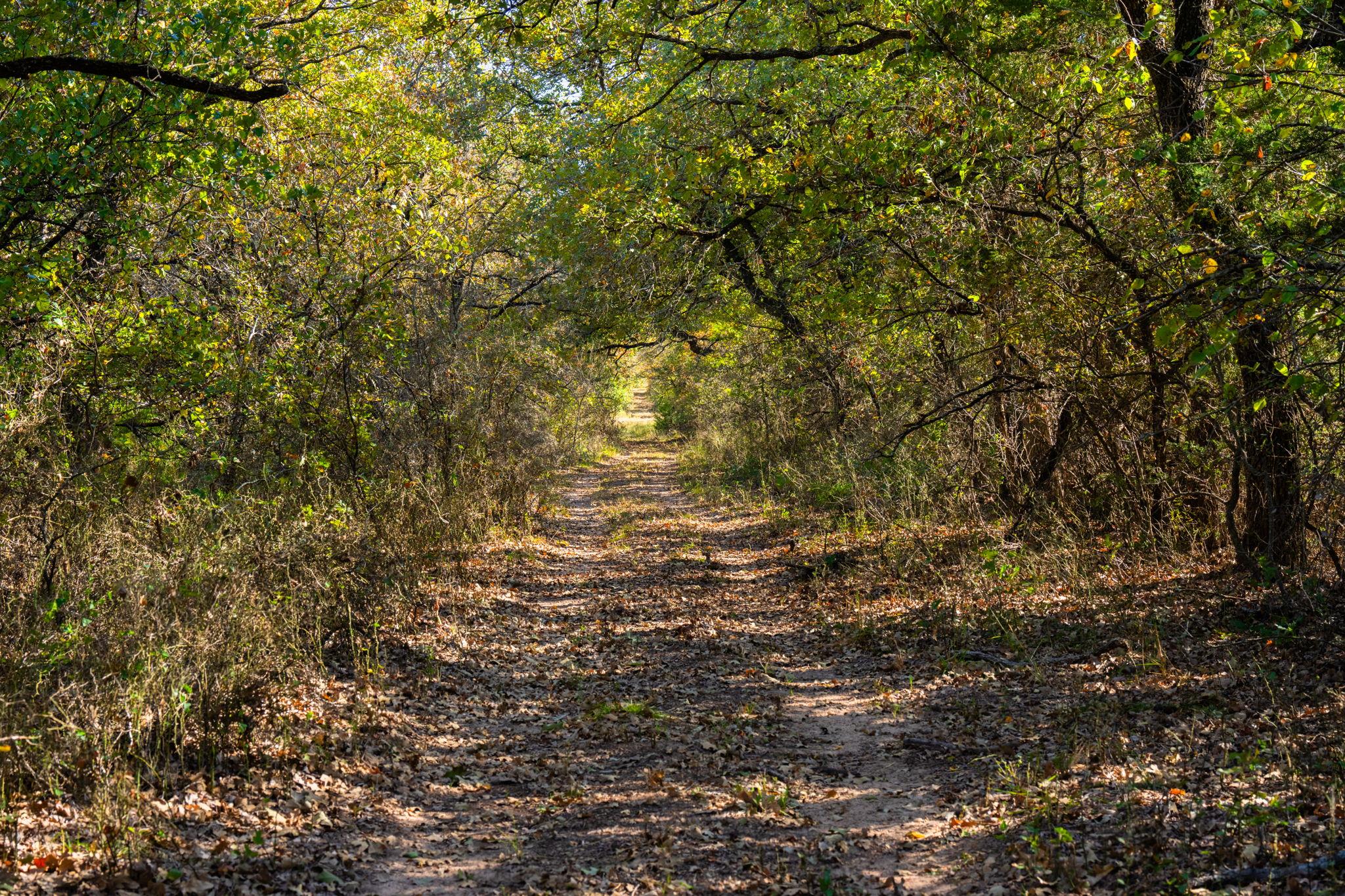 345 Fm 933, Aquilla, TX 76622